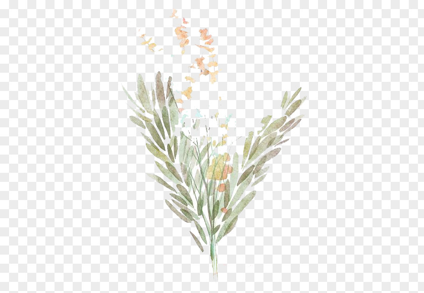 Watercolor Flowers Desktop Wallpaper Book PNG