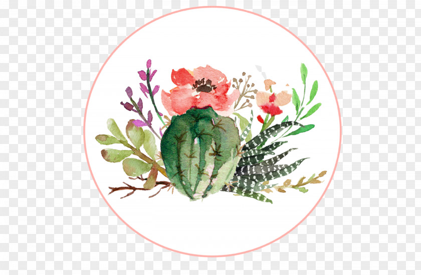 Cactus Succulent Plant Rose Watercolor Painting Watercolor: Flowers PNG