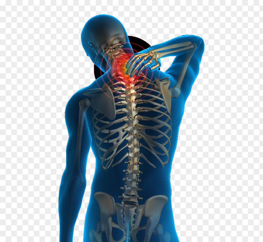 Health Neck Pain Low Back Human Physical Therapy PNG