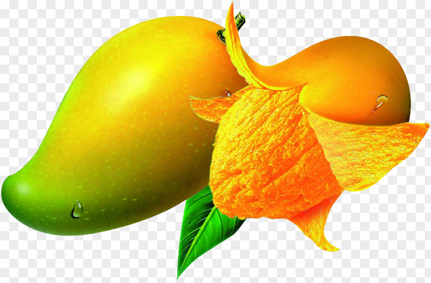 Mango Peel Ethylene Powder Ripening Calcium Carbide PNG