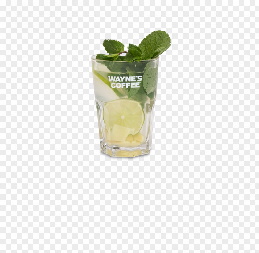 Mojito Mint Julep Caipirinha Cocktail Garnish PNG