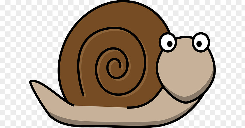 Snail Gastropods Slug Clip Art PNG