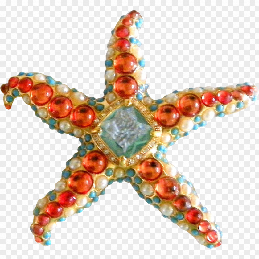 Starfish Jewellery Bead Invertebrate Jewelry Design PNG