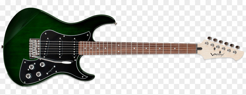 Bass Guitar Fender Stratocaster Variax Line 6 Musical Instruments PNG