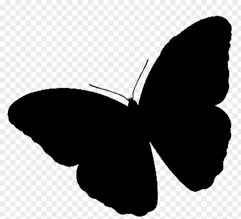 Brush-footed Butterflies Clip Art Silhouette Black M PNG