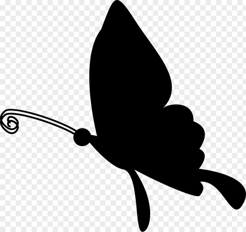 Butterfly Insect PNG