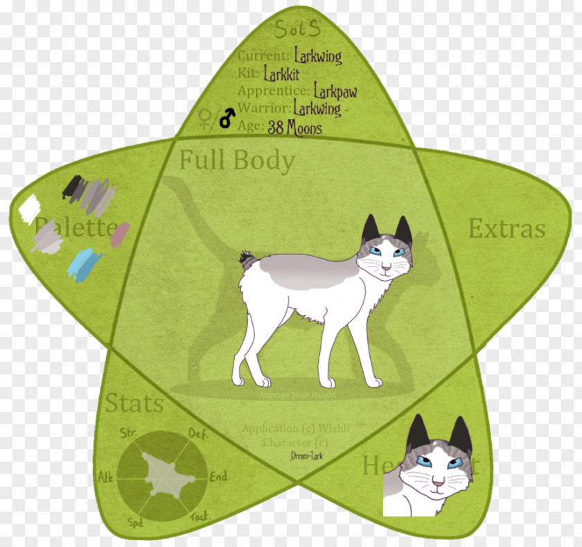 Cat Dog Canidae Cartoon PNG