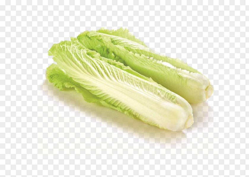 Creative Cabbage Red Organic Food Chinese Napa PNG