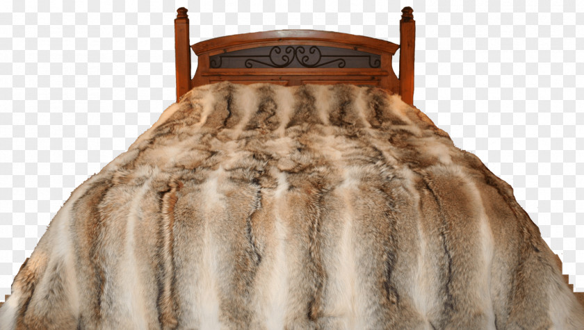 Fur Blanket Clothing Coyotenfell Beaver PNG
