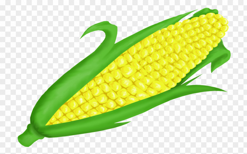 Tayo Hd Corn On The Cob Vegetarian Cuisine Clip Art Maize Openclipart PNG