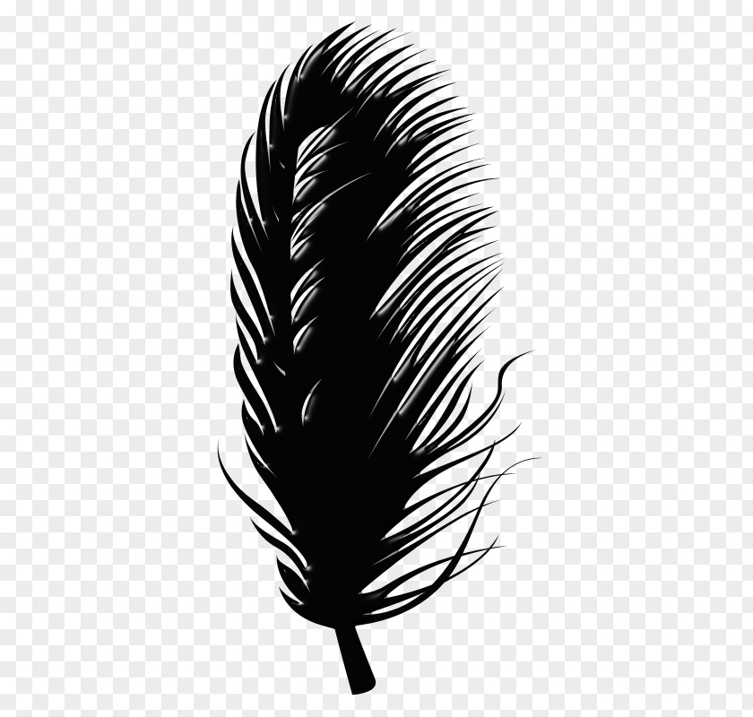 Tbc Button Feather Leaf Paper Chemical Element Blog PNG