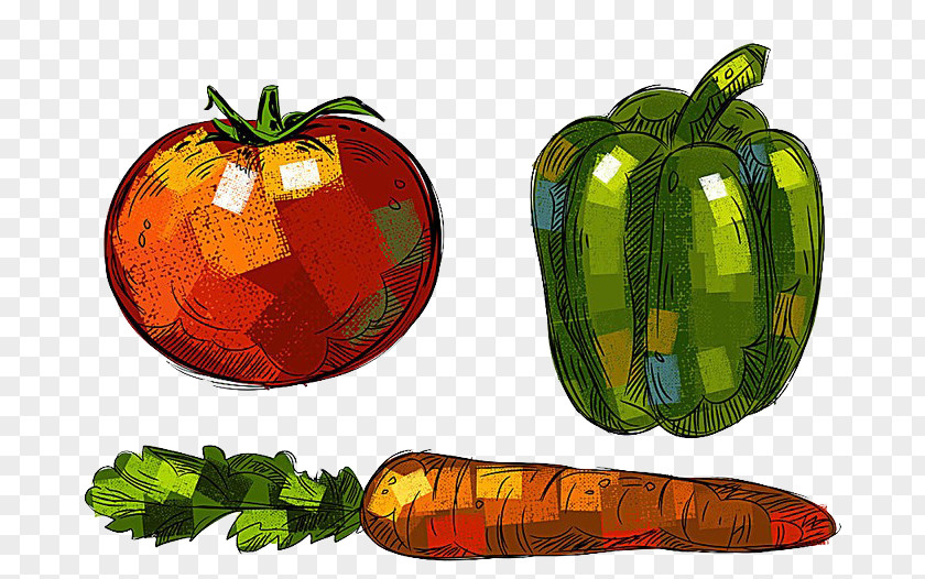 Tomatoes, Green Peppers Carrots Buckle-free Material Bell Pepper Gourd Vegetable Drawing PNG