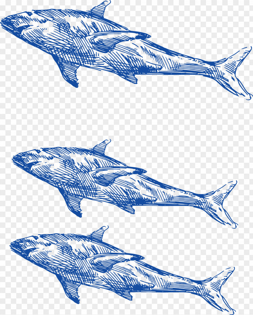 Hand-painted Sea Shark Common Bottlenose Dolphin Whale PNG