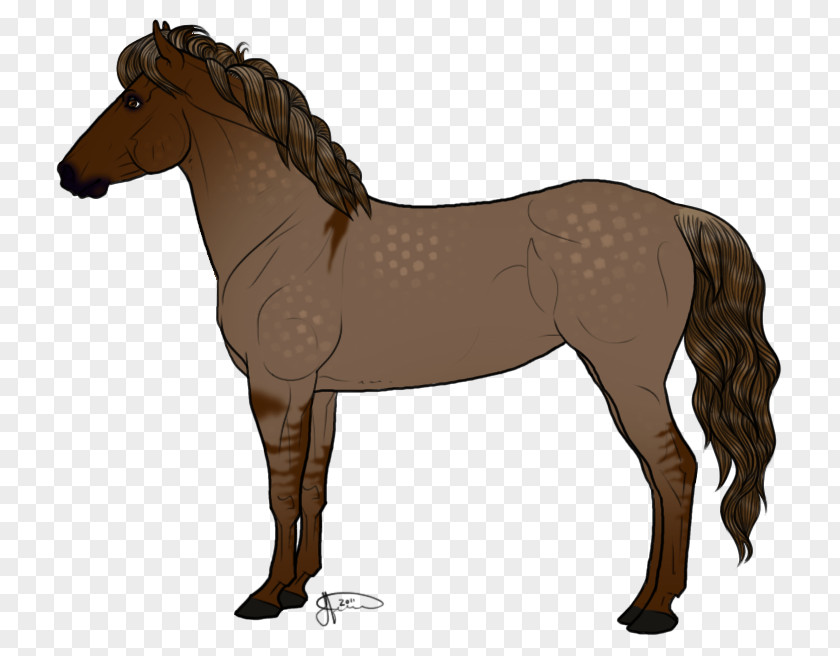 Icelandic Horse Mustang Mane Pony Colt Stallion PNG