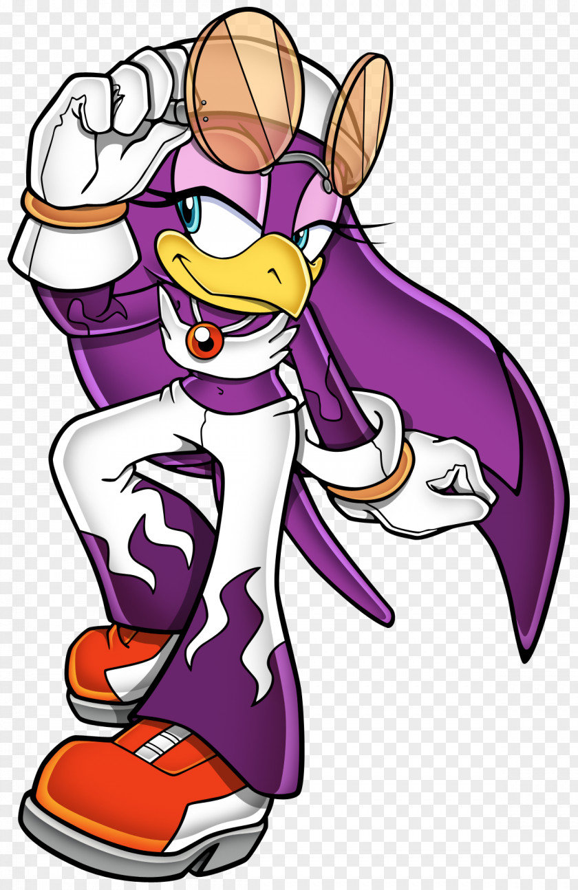 Jet Sonic Riders: Zero Gravity Free Riders The Hedgehog Battle PNG