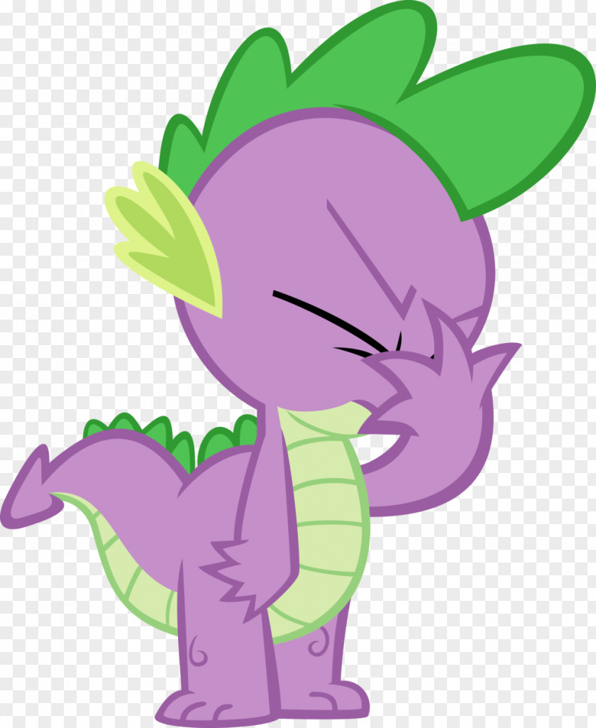 Spike Rarity Twilight Sparkle Rainbow Dash Pony PNG