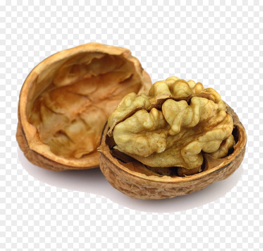 A Stripped Walnut English Stock Photography Shutterstock PNG