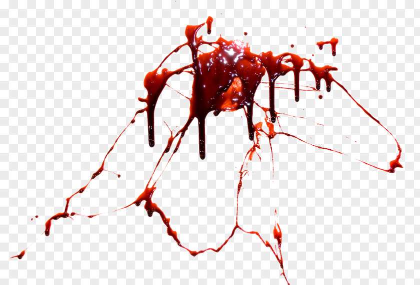 Blood Clip Art PNG