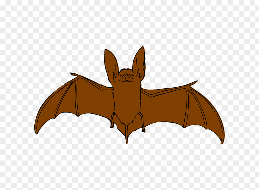 Clip Art Bat Vector Graphics Openclipart PNG