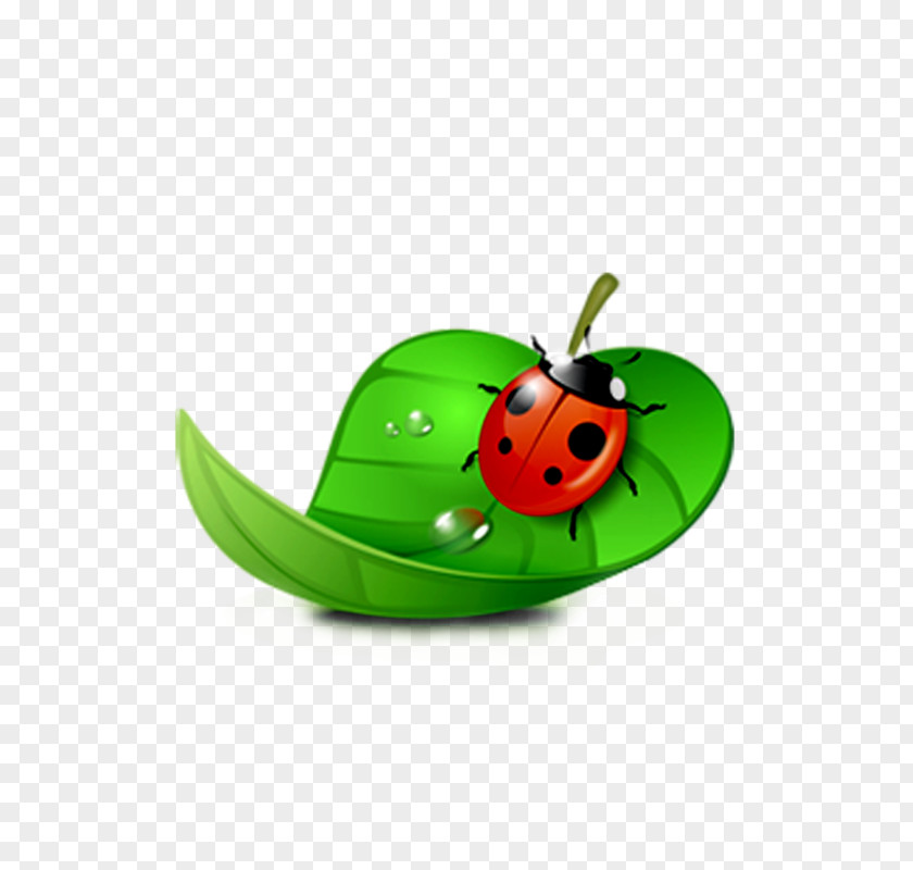 Galaxy Clipart CorelDRAW Computer Software Ladybird PNG