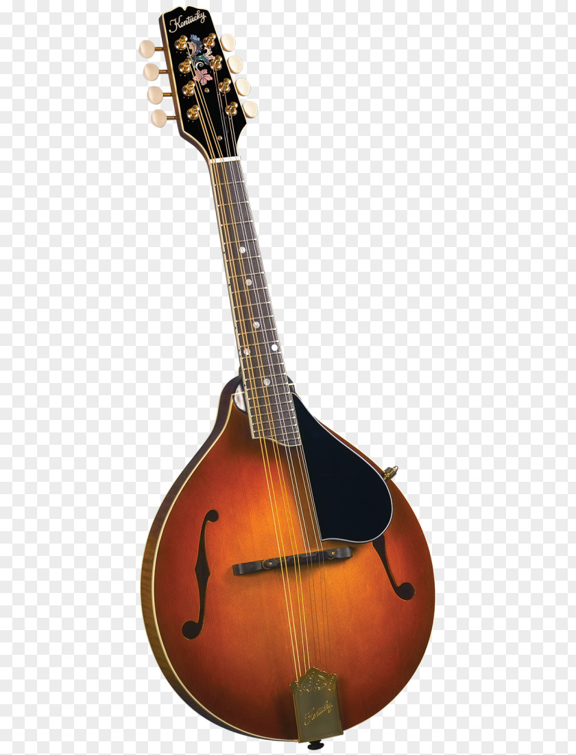 Musical Instruments Mandolin NAMM Show Musician Acoustic Guitar PNG