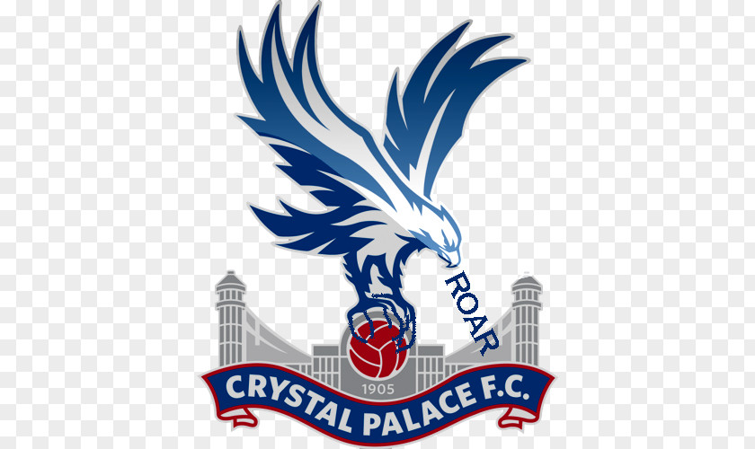 Premier League Crystal Palace F.C. L.F.C. Reading Football PNG