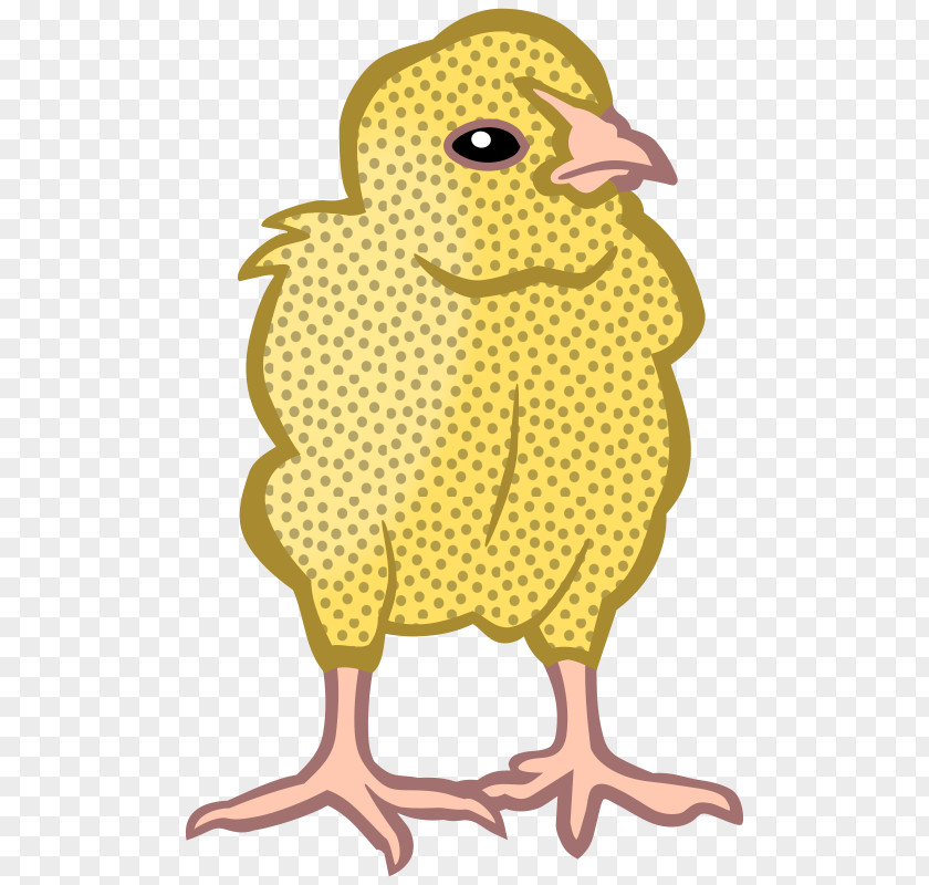 Chicken Drawing Clip Art PNG