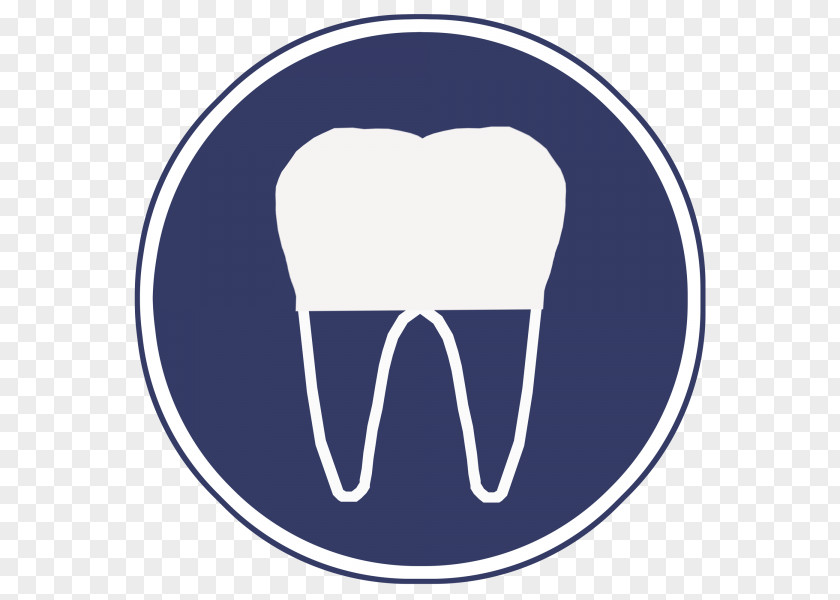 Crown Tooth Root Canal Endodontic Therapy Pulp PNG