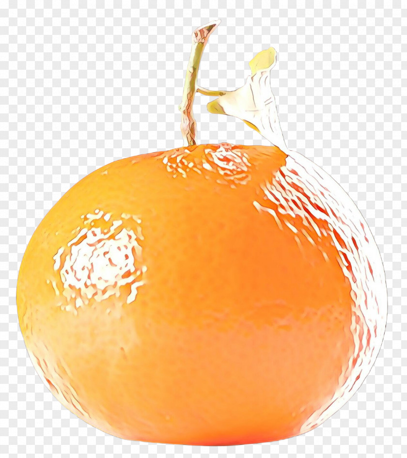 Tangerine Valencia Orange Fruit Cartoon PNG