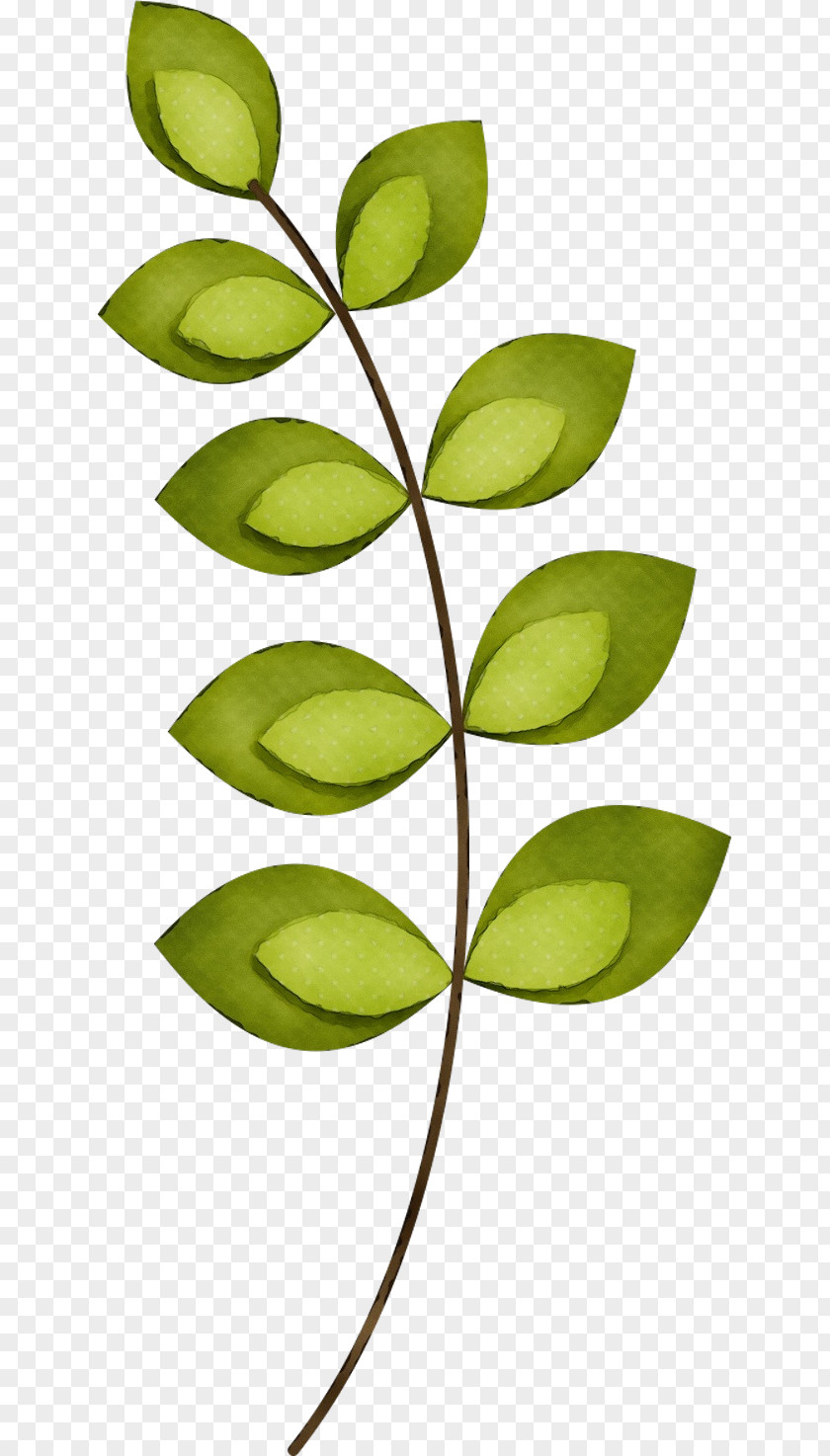 Tree Flower Green Leaf Watercolor PNG