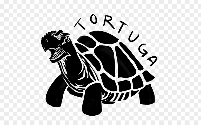 Turtle Tortoise Sea Logo PNG