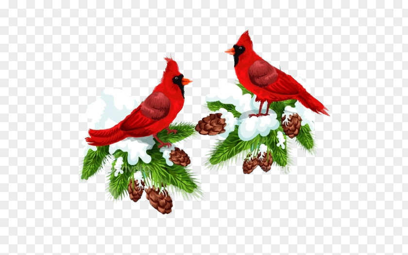Couple Bird Creative Northern Cardinal Christmas Card Clip Art PNG