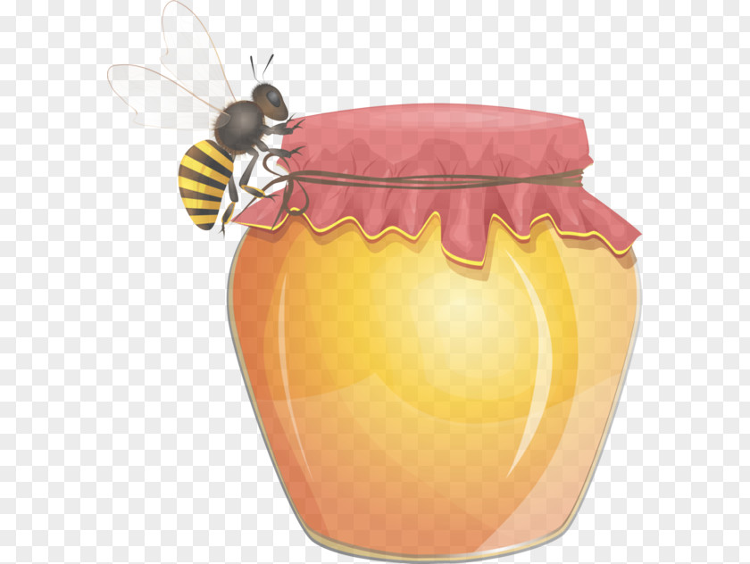 Honey Pollinator Orange PNG