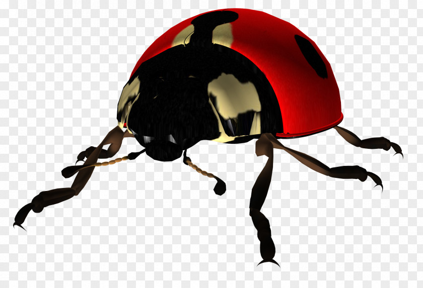 Ladybug Beetle Ladybird Embroidery Clip Art PNG