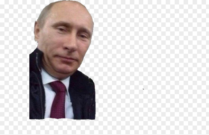 Vladimir Putin President Of Russia United States Saint Petersburg PNG