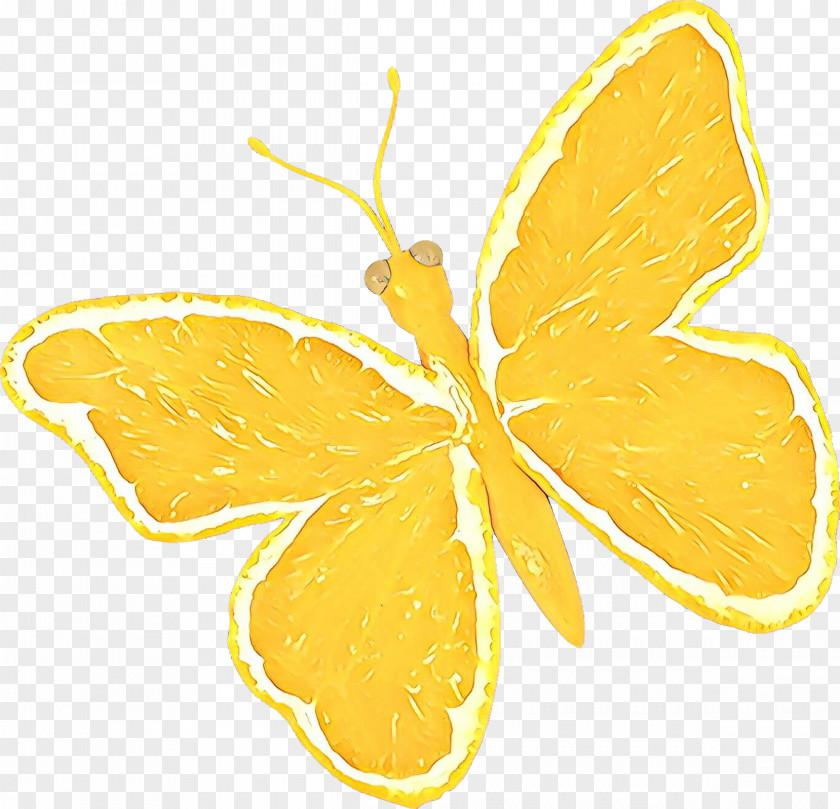 Yellow Butterfly Moths And Butterflies Leaf Pollinator PNG