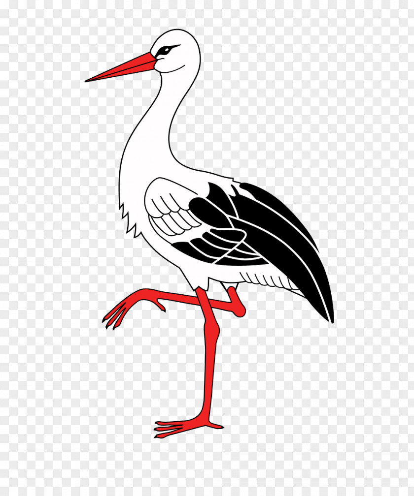 Bird White Stork Clip Art Drawing PNG