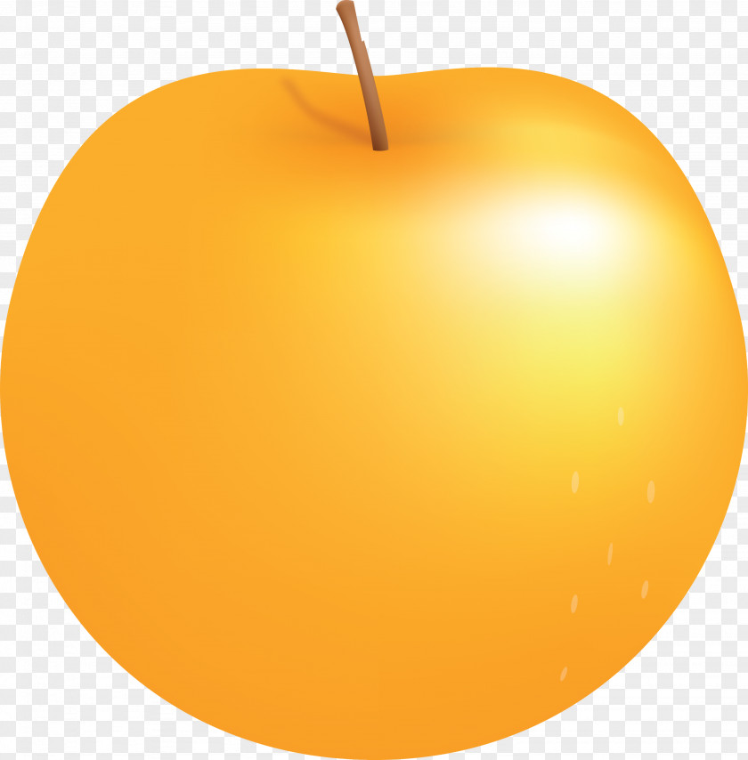 Fruit Apple PNG