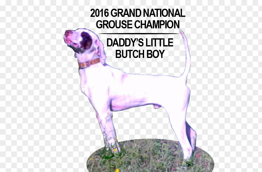 Grand National Curling Club Dog Breed Great Dane Sporting Group Crossbreed Paw PNG