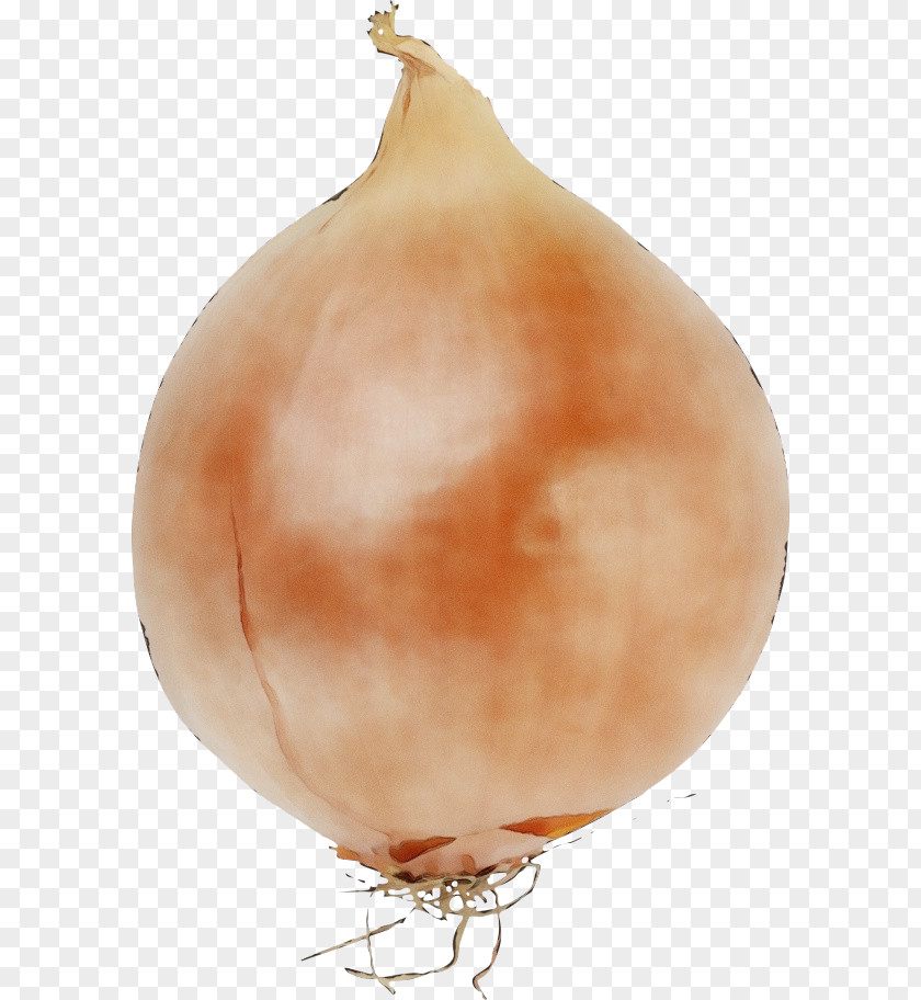 Plant Allium Onion Vegetable Yellow Food Shallot PNG
