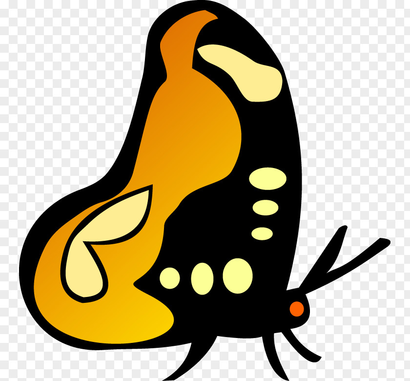 Butterfly Insect PNG