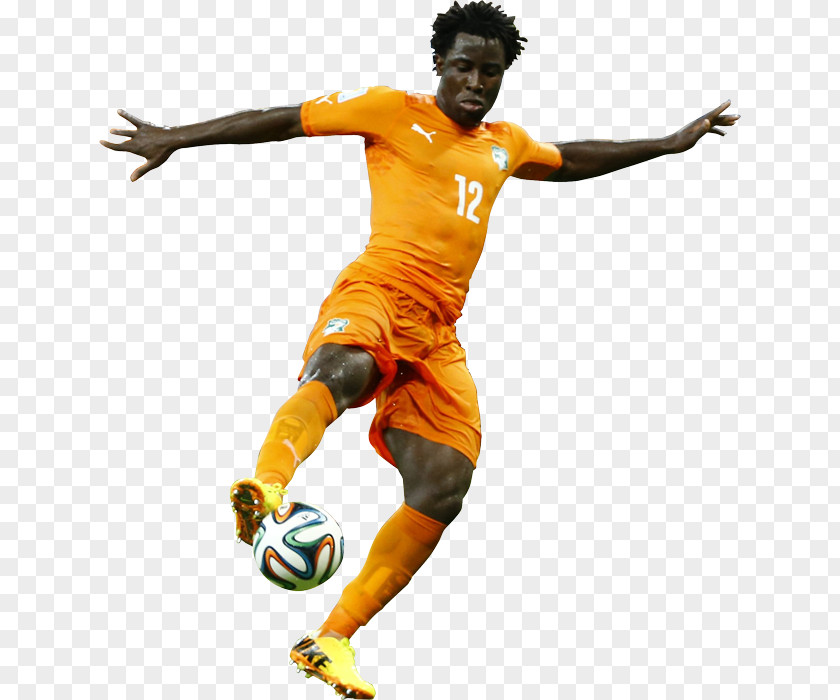 Special Members 2014 FIFA World Cup Ivory Coast National Football Team Player Japan PNG