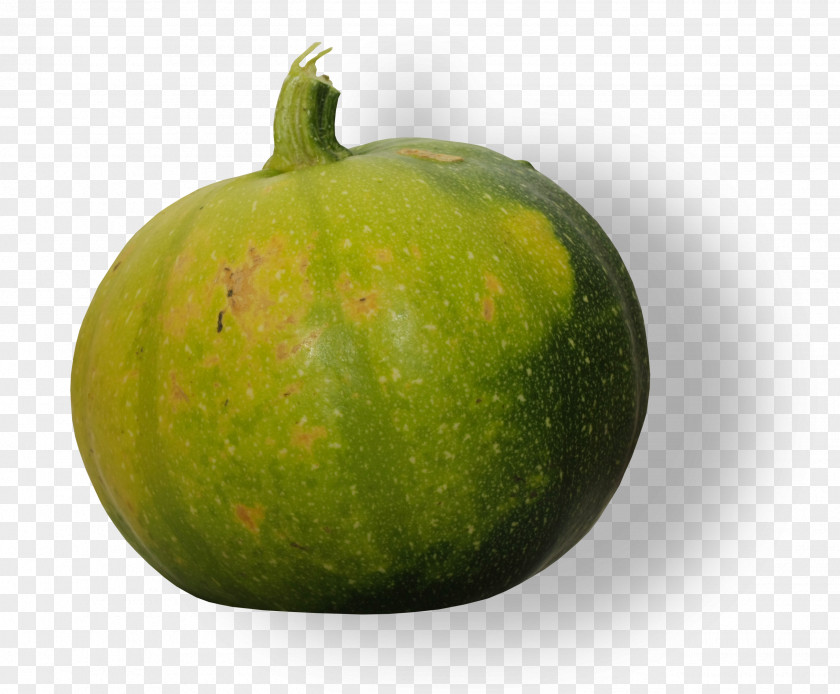 Apple Fruit Melon Cucurbita Food Gourd PNG