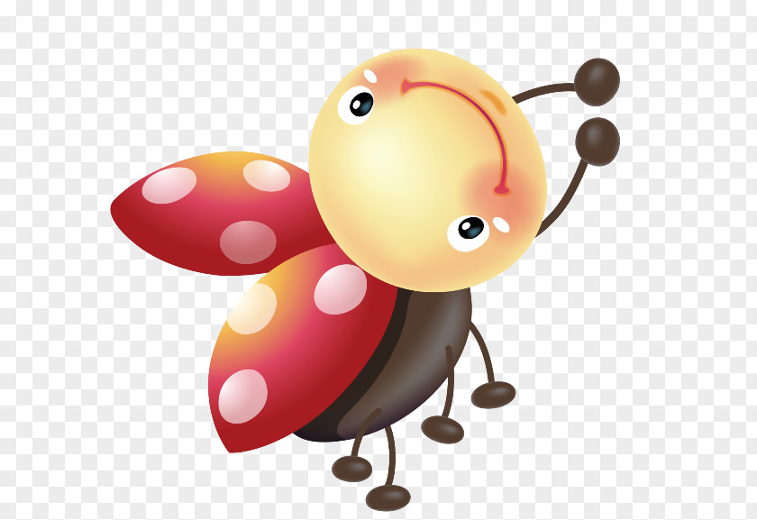 Beetle Ladybird Seven-spot Clip Art PNG