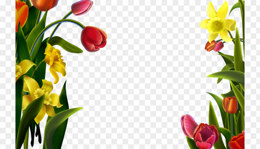 Tulips Decorative Lace Picture Frame Download PNG