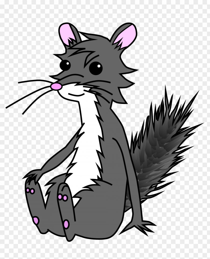 Cat Whiskers Squirrel Rat Mouse PNG