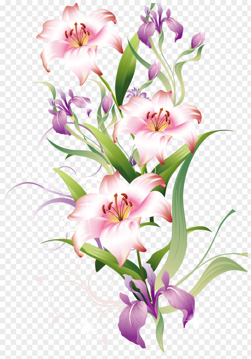 Lilium Decoration Clipart Picture Flower Clip Art PNG