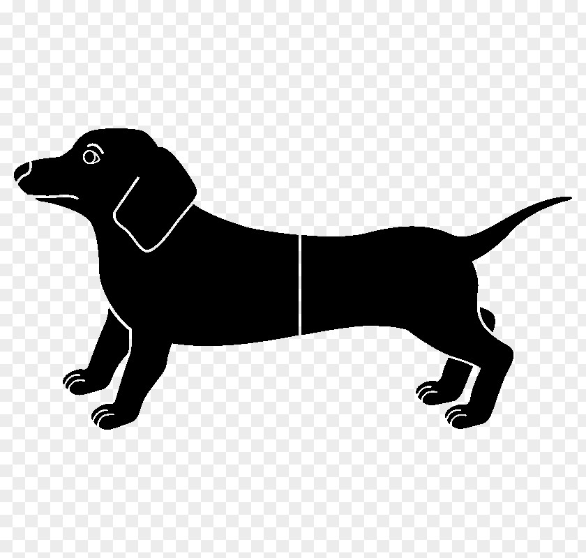 Puppy Labrador Retriever Dog Breed Leash PNG