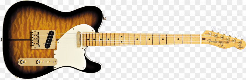 Bass Guitar Fender Telecaster Thinline Stratocaster Deluxe Custom Shop PNG