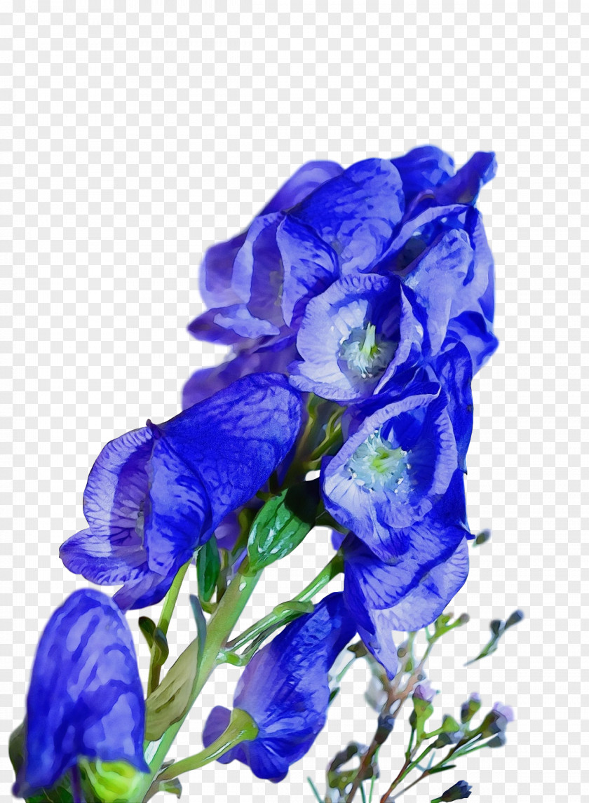 Blue Rose PNG